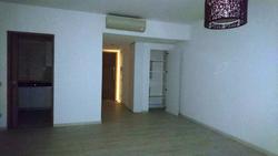 The Metropolitan Condominium (D3), Condominium #163129422